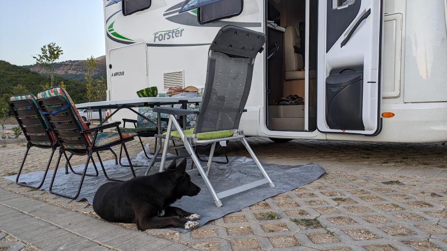 Ein Gast erhofft sich einen Happen vom Abendbrottisch