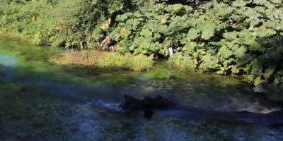 image from Tiefblaues Wasser