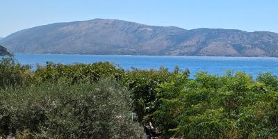 image from Tschüss Albanien