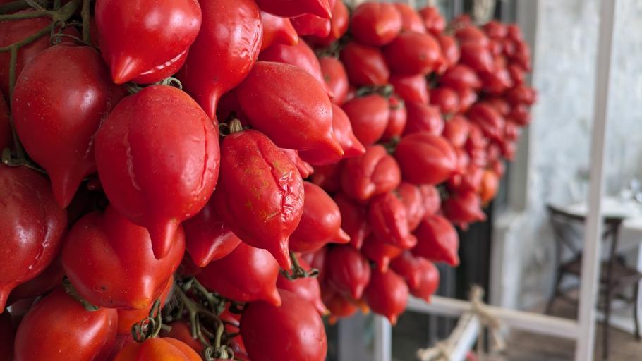 Hier werden die Tomaten für die würzige Pasta-Sauce ein wenig vorgetrocknet