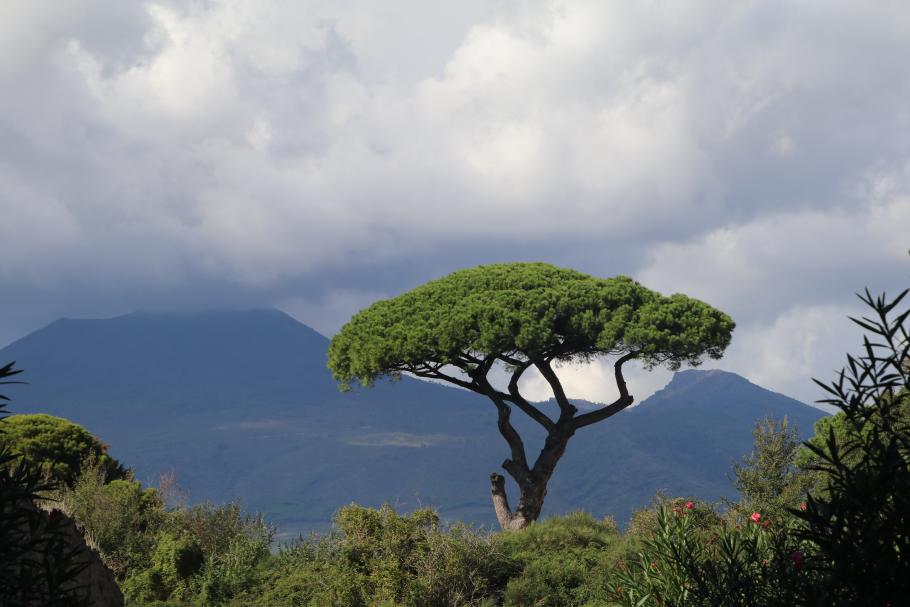 Die heutige Form erhielt der Berg bei seinem damaligen Ausbruch. Davor war es ein eher unscheinbarer Hügel.