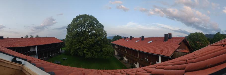 Blick aus dem Dachfenster. Hinter der Linde versteckt sich ein großer Pool.