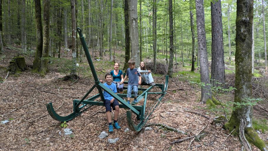 Es fehlen noch Schnee und ein Rudel Rentiere