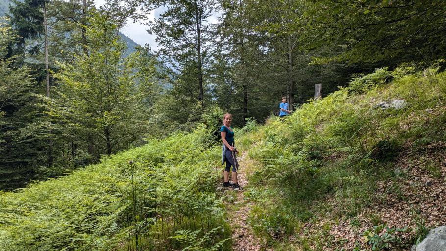 Inmitten von grünen Farnen führt uns ein schmaler Pfad stetig bergan