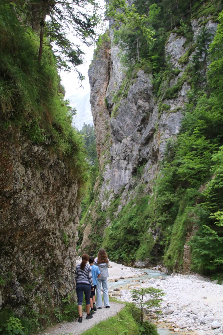 Ein Pfad führt durch die Schlucht den Fluss hinauf