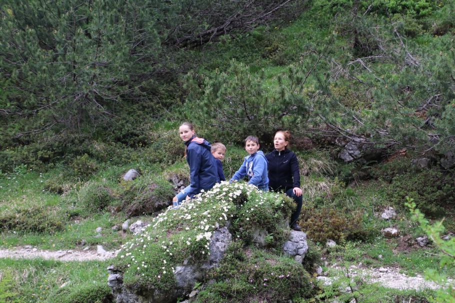 Wir entscheiden uns für den blumigeren Weg