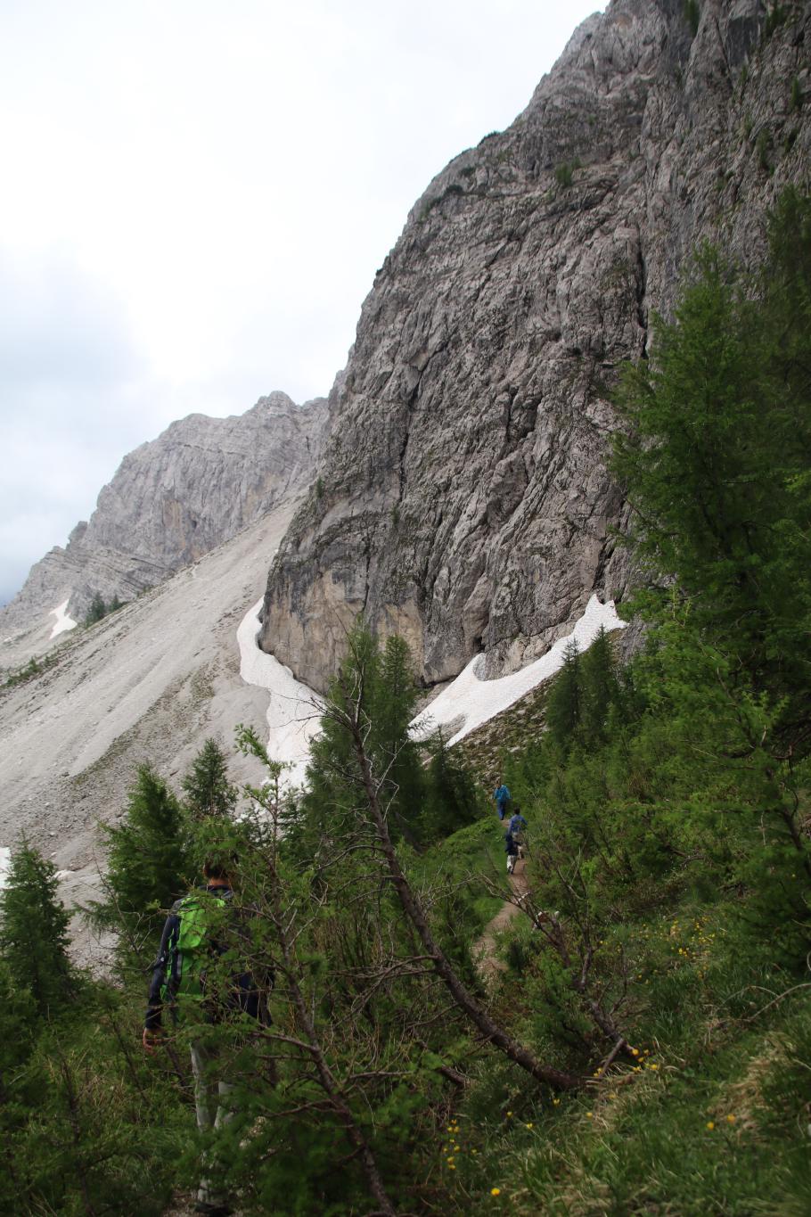 Das Grün endet bald und weicht Grau und Weiß