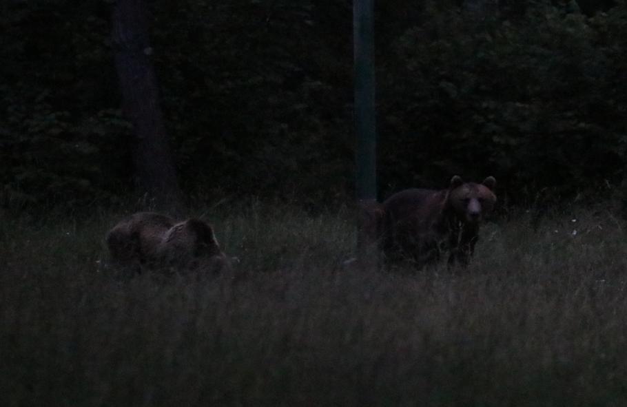 Die beiden sind gerade noch zu erkennen.