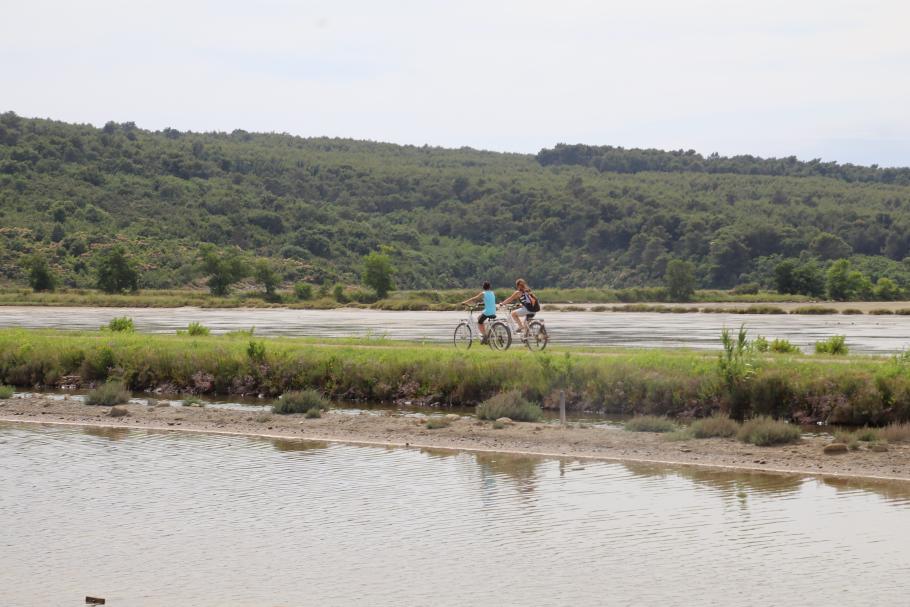 Mit dem Fahrrad geht es zwischen den Becken entlang, in denen ehemals Salz gewonnen wurde