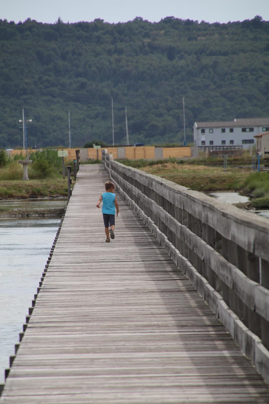 Ein langer Holzweg führt vom Eingang zum Shop