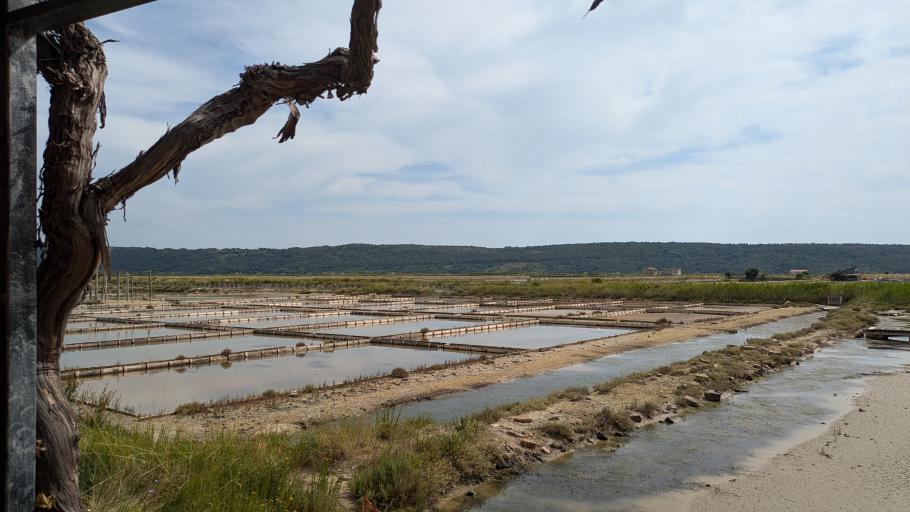 Die Becken hier sind noch aktiv im Einsatz und in bestem Zustand