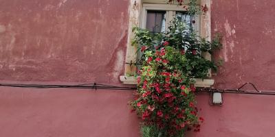 image from Izola und Koper