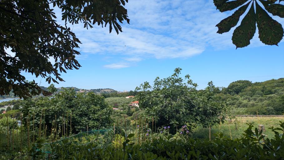 Die landwärtige Seite der Klippe ist wunderbar grün und voller Gärten und Olivenhaine