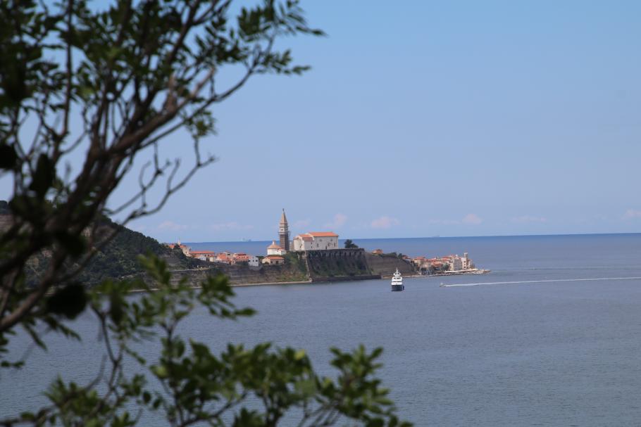 Dafür ist die Sicht in Richtung Piran heute besonders klar