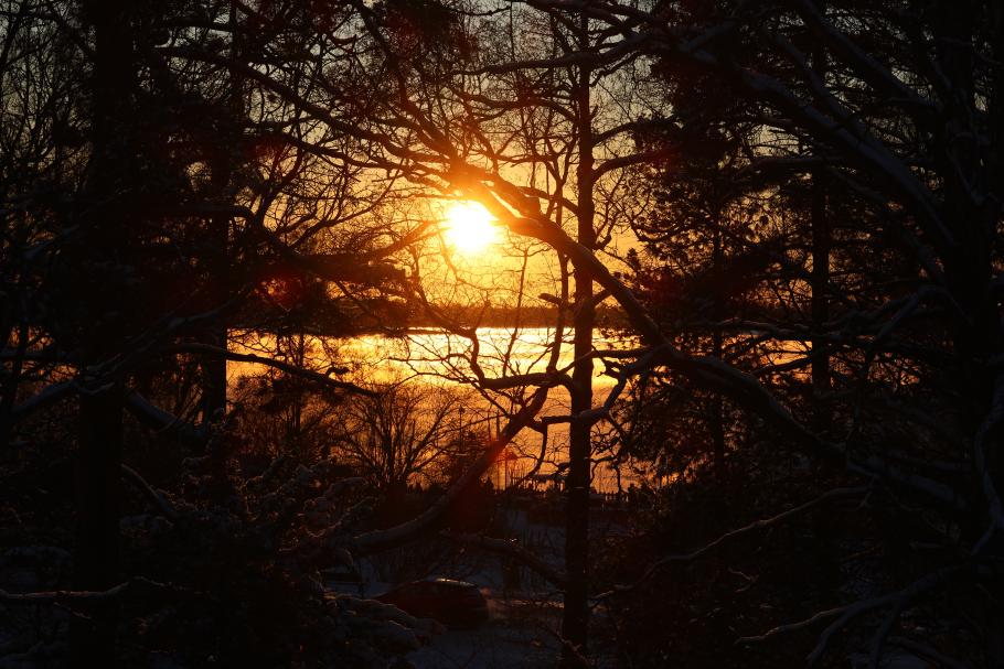 Als wir kurz am Sibelius-Denkmal anhalten (einer Skulptur aus 600 Stahlrohren) sehen wir die Sonne schon untergehen.
