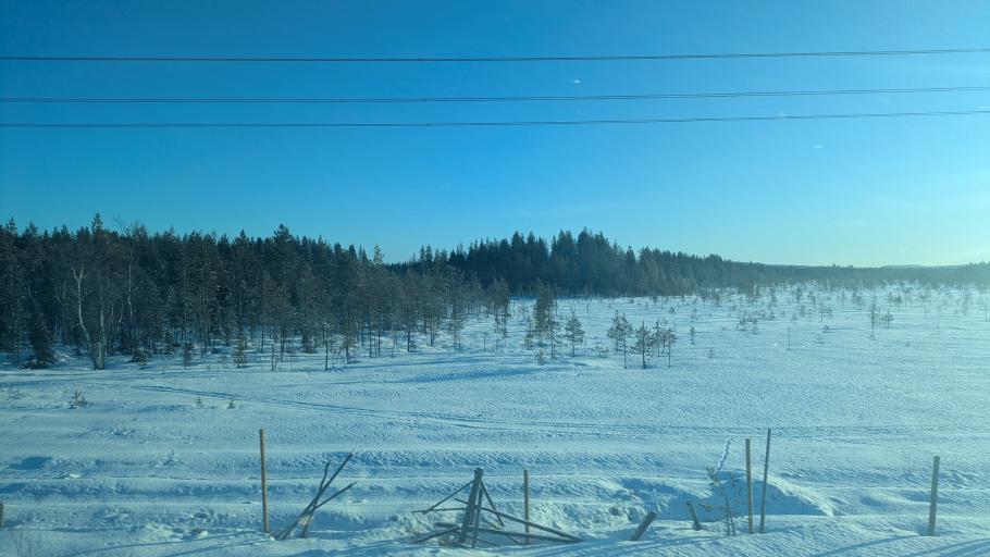 Auch die verbleibenden zwei Stunden ändert sich die Landschaft kaum