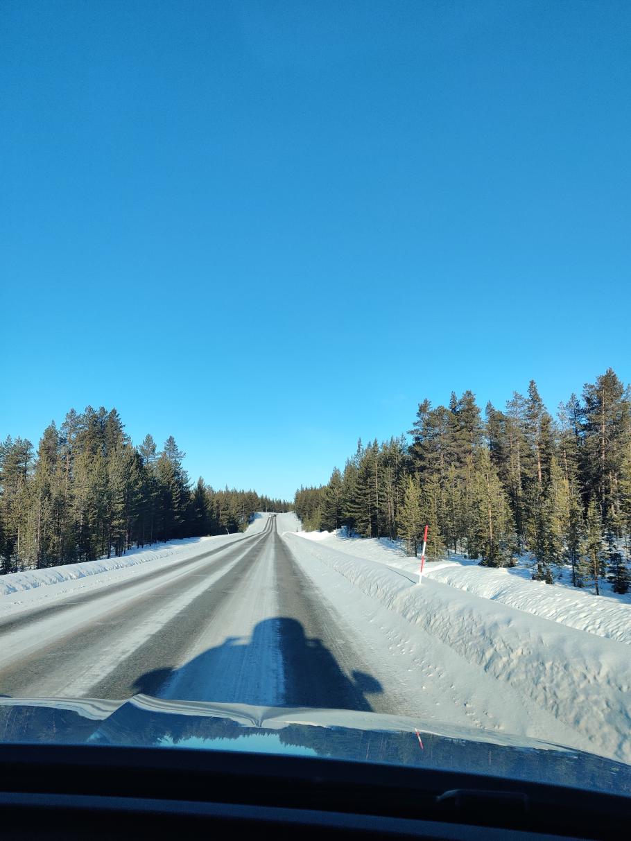 Bis zu unserem Ferienort fahren wir noch eine halbe Stunde - natürlich durch Winterwälder …
