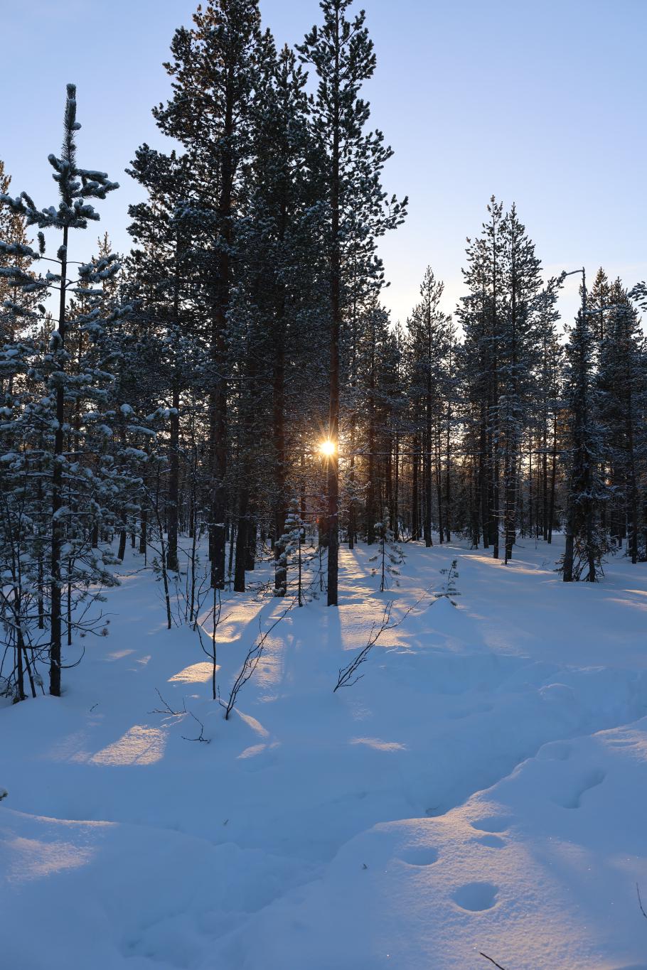 Obwohl es erst zeitiger Nachmittag ist, steht die Sonne schon sehr tief