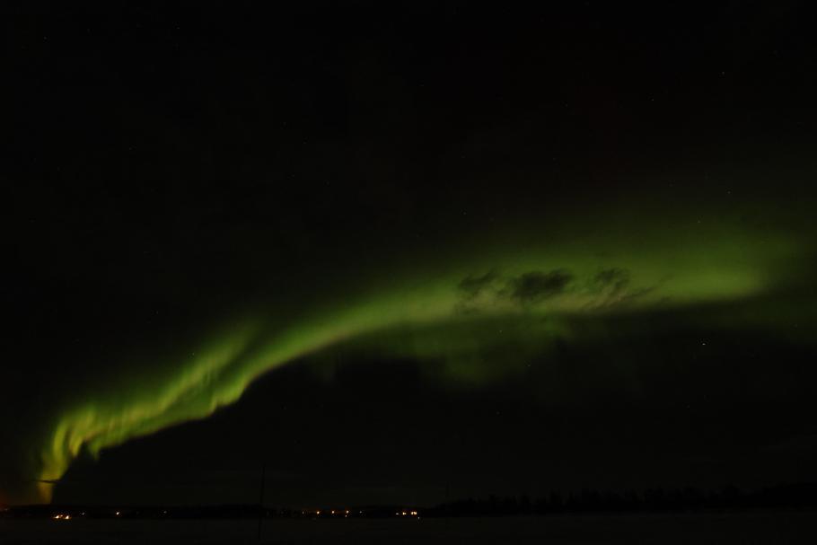 Neben grün gesellen sich noch weitere Farben hinzu