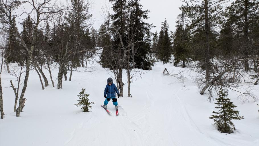 Wer mittdendrin den Skilift verlässt, muss halt durch den Wald zurück zur Piste.