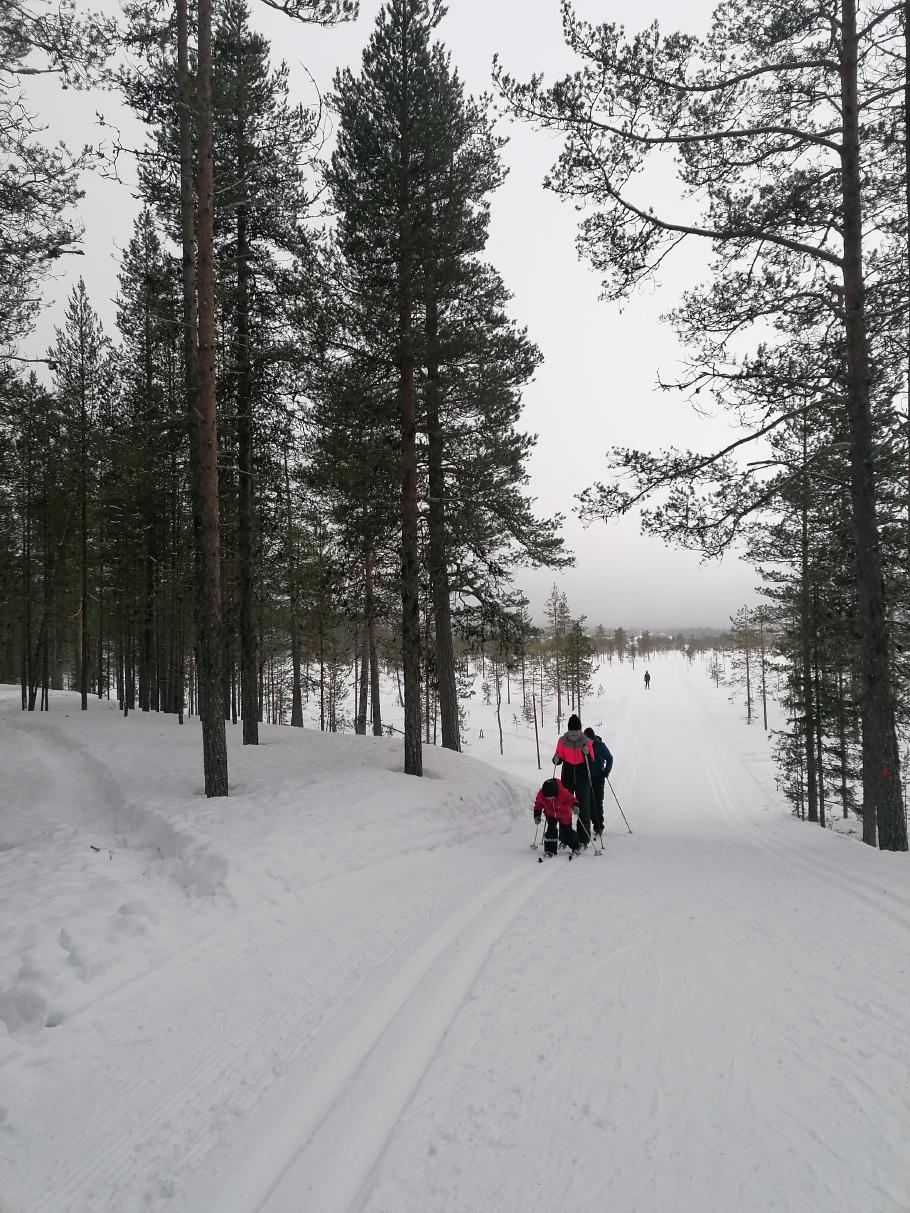 Mattis kann zwar schon prima Abfahrtsski, beim Langlauf muss er aber noch üben.
