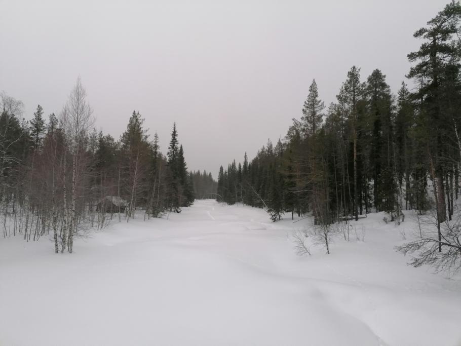 Breit und gerade wie eine Straße zieht sich der vereiste Fluss durch den Wald