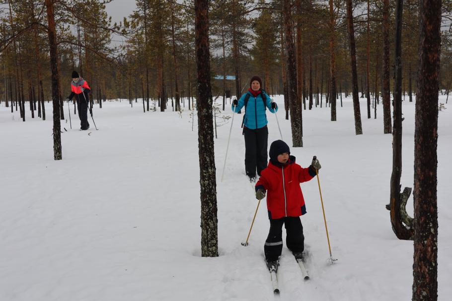 Querfeldein in Richtung See