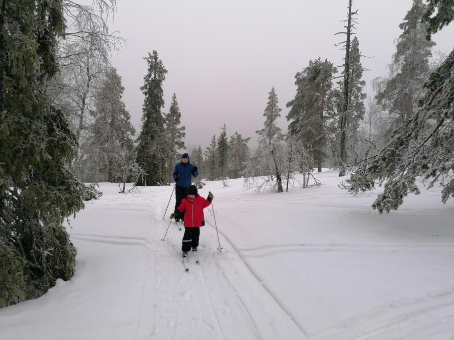 Obwohl es vorhin frisch geschneit hat, gibt es schon wieder reichlich Spuren