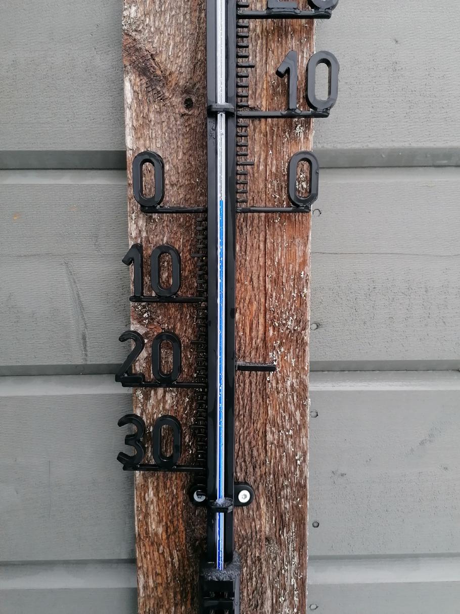 Viel zu warm für diese Jahreszeit