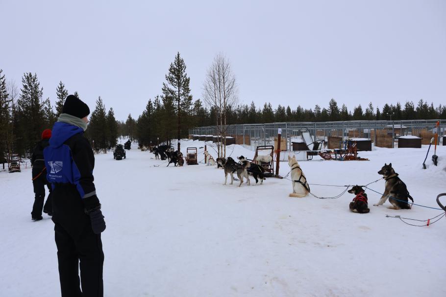 Dort warten schon unsere Schlitten