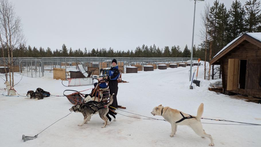 Fahren darf man ab 15. Bei Annabell’s Anmeldung habe ich mich beim Geburtsdatum um 3 Monate “vertan”.