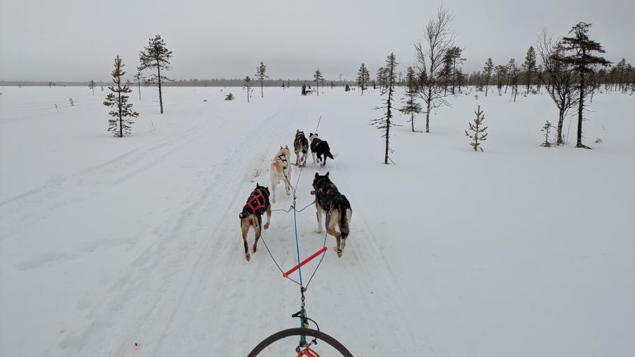 Ich mache schnell ein paar Fotos, bekomme aber gleich Ärger, weil ich nicht beide Hände am Schlitten habe