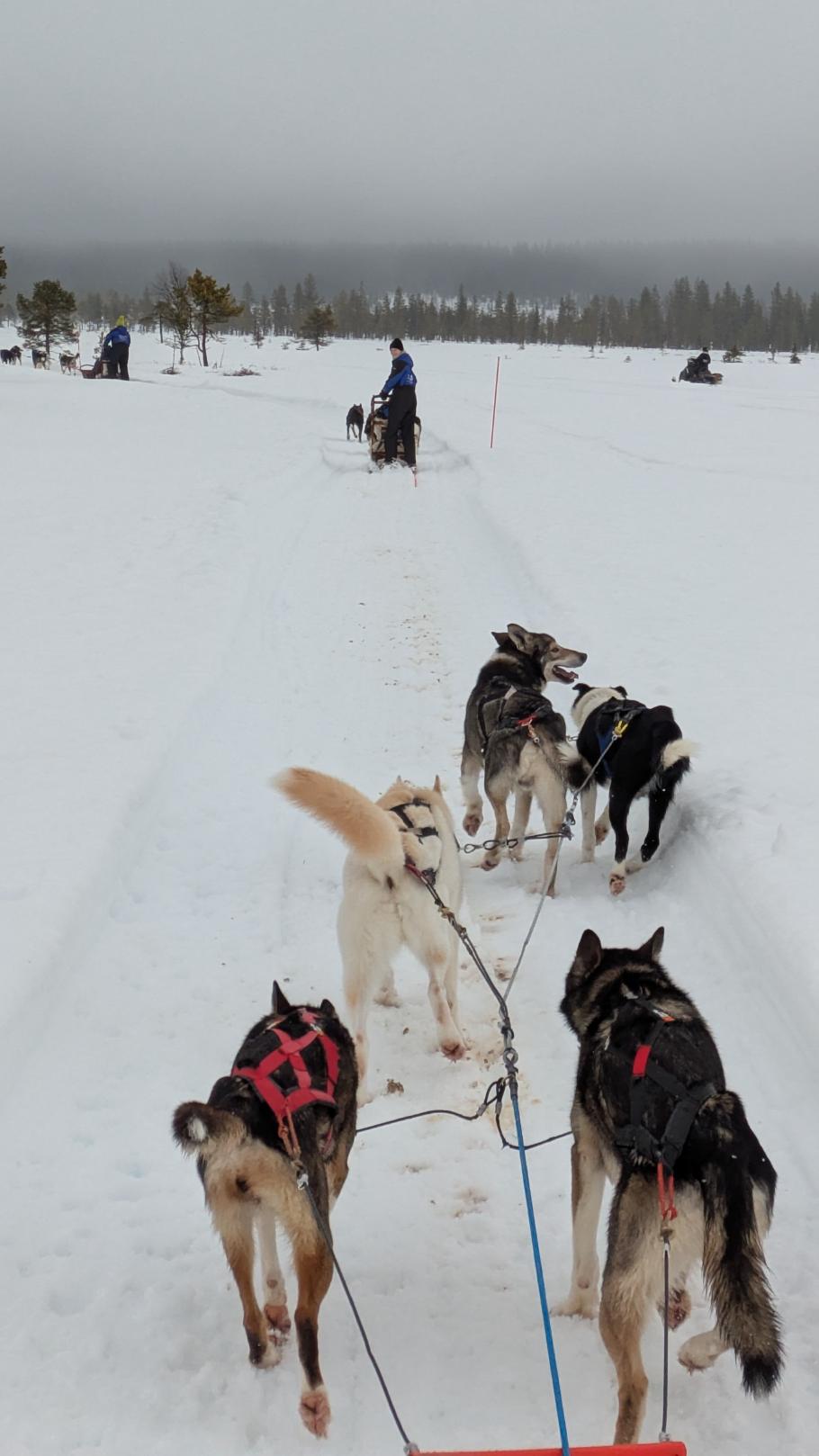 Gleich haben wir Annabell ein