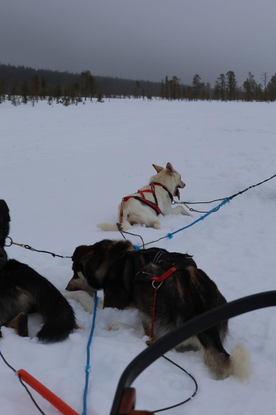 Zwischendurch gibt’s immer mal kurze Pausen