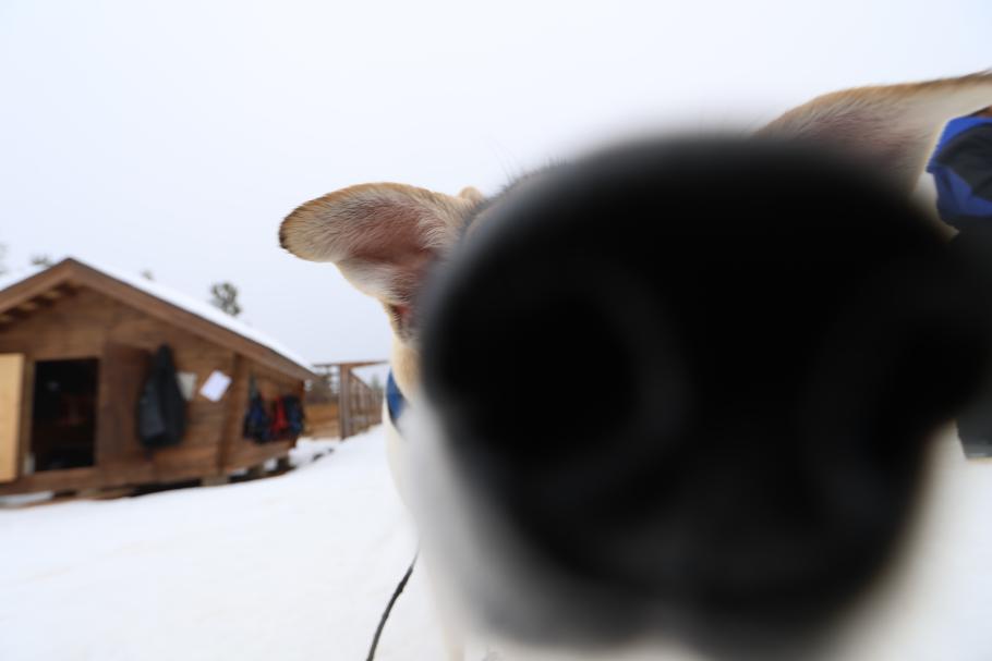 Ab hier sind die Bilder etwas unscharf.