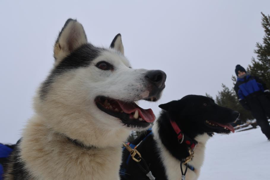 Diesen finde ich besonders fotogen