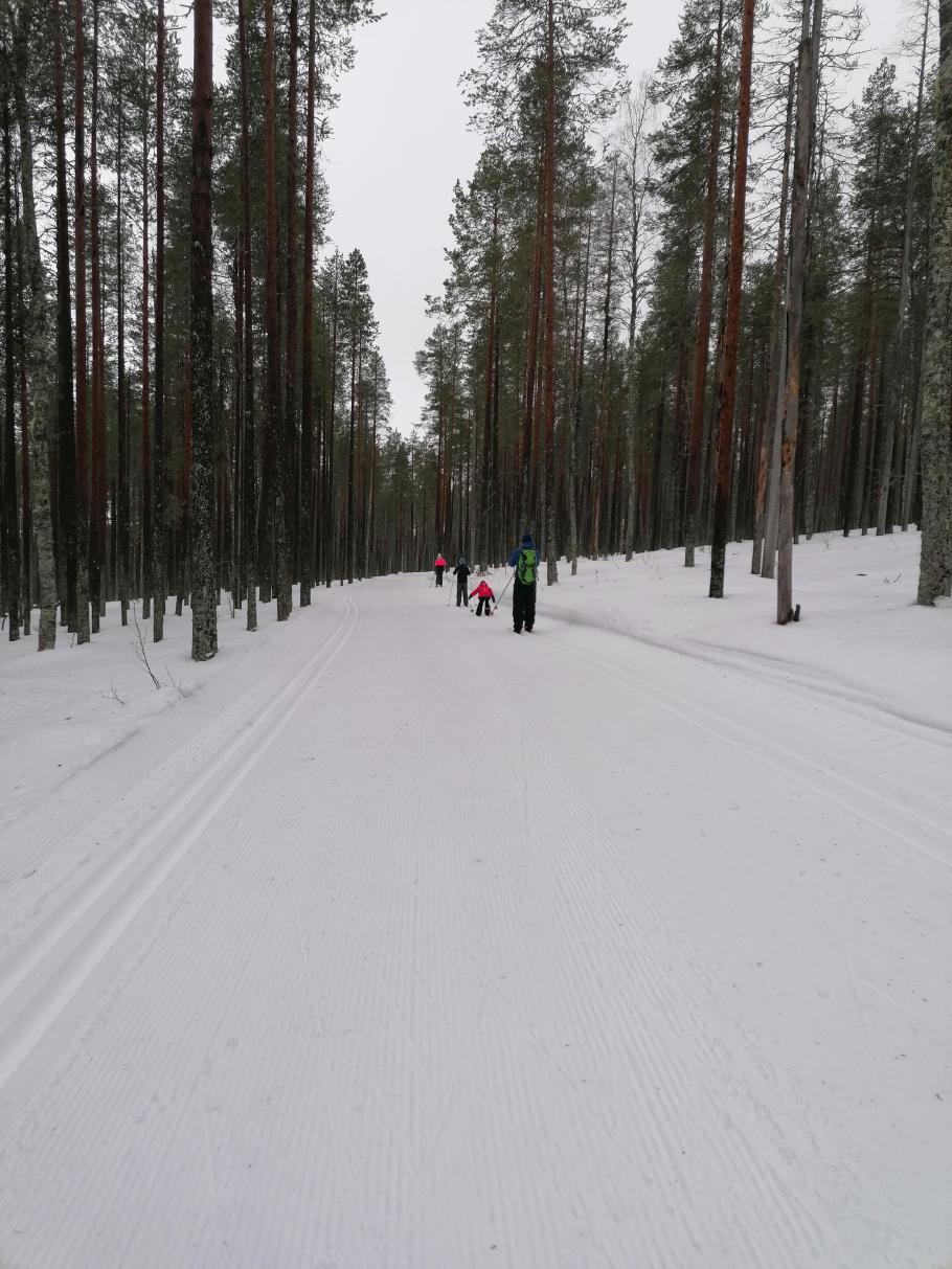 Obwohl wir mitten im Skigebiet sind, ist der Wald fast menschenleer