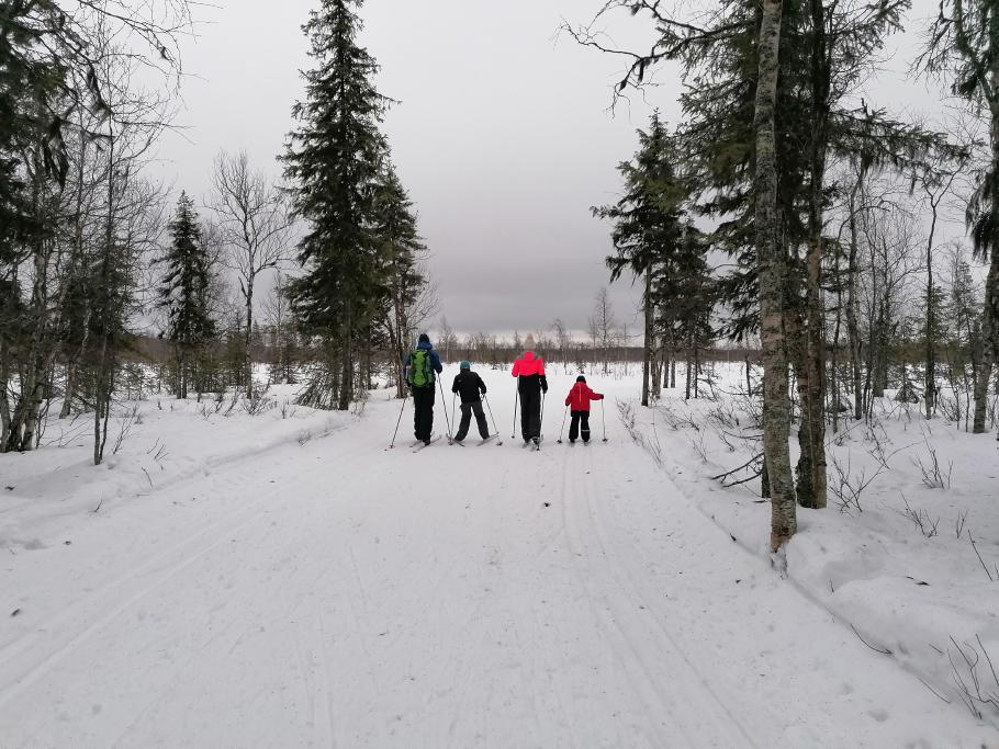 Aus dem Wald führt die Loipe über eine helle, wenig bewachsene Ebene