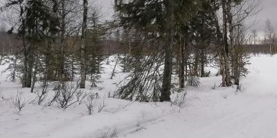 image from Skiwanderung