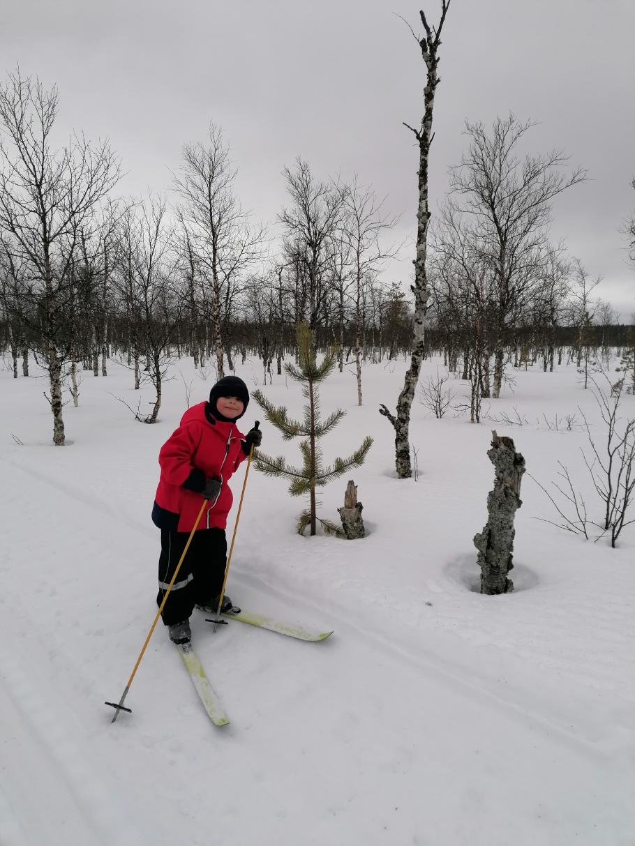 Hier stehen nur Birken, eine einzelne Tanne und Mattis