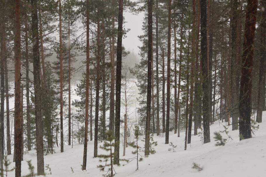 Den Fluss sehen wir leider nur von Weitem
