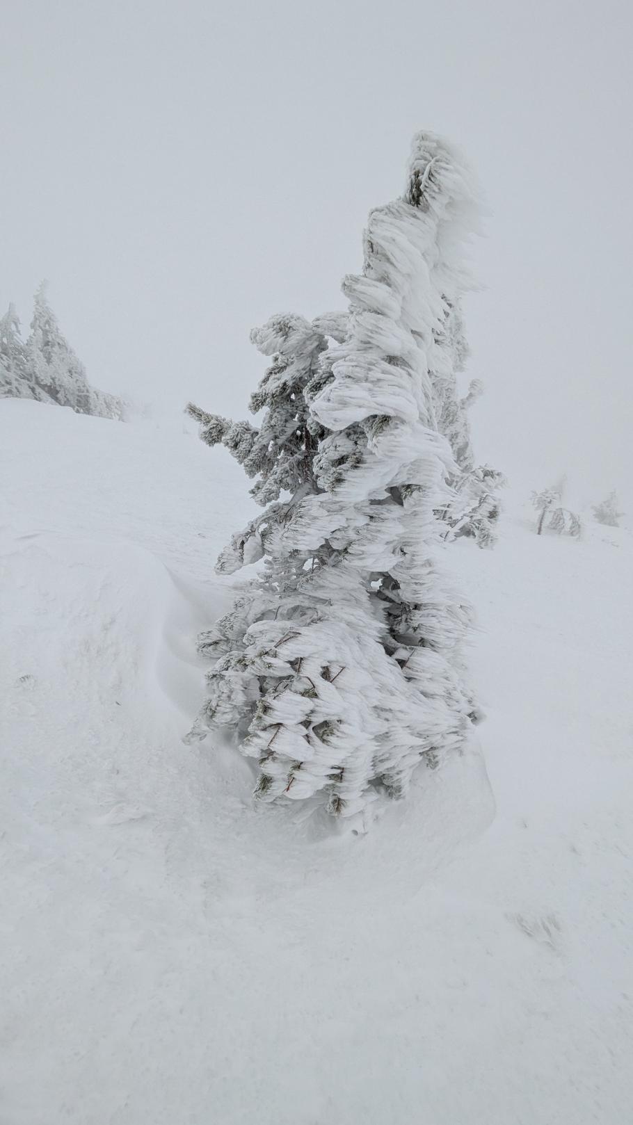 Ist das Kunst oder kann das weg?
