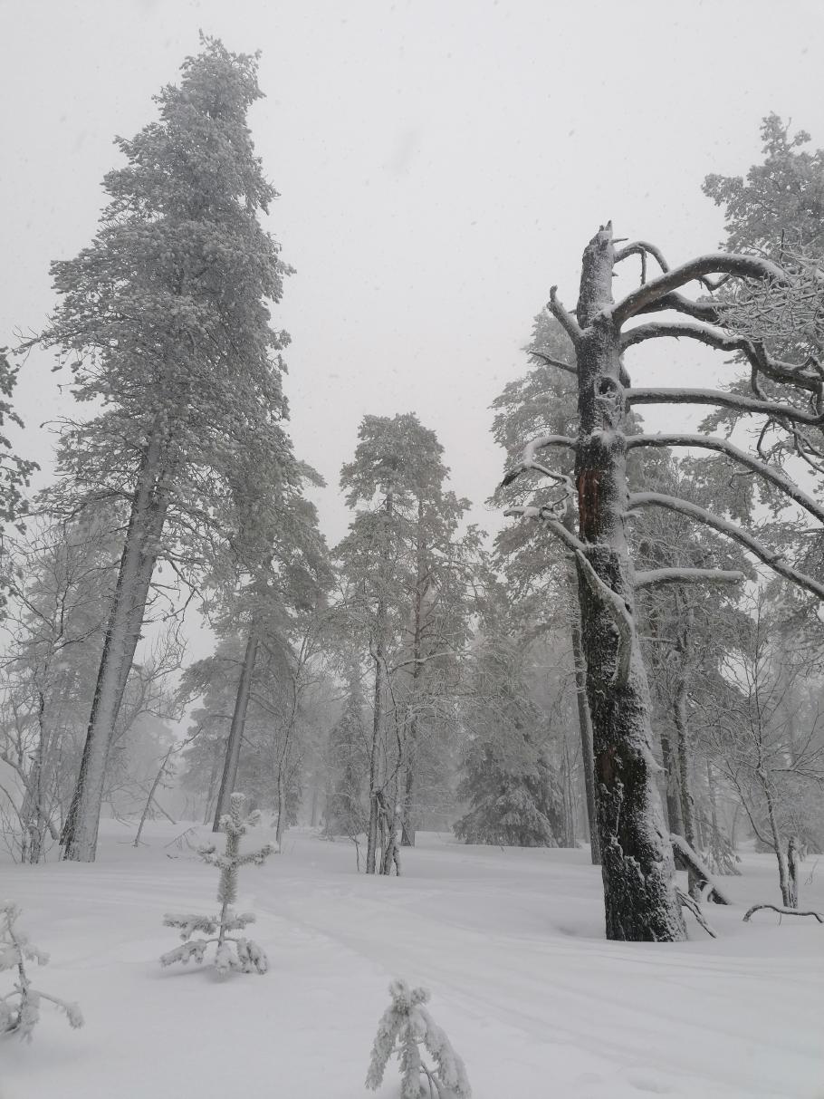 Alles weiß in weiß