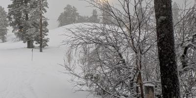 image from Letzte Abfahrt