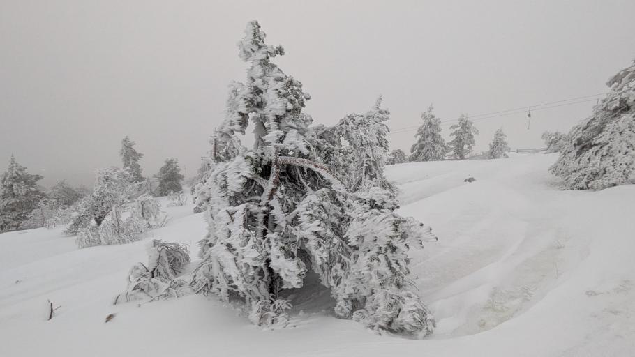 Wir können einfach nicht vorbeigehen, ohne Fotos zu machen