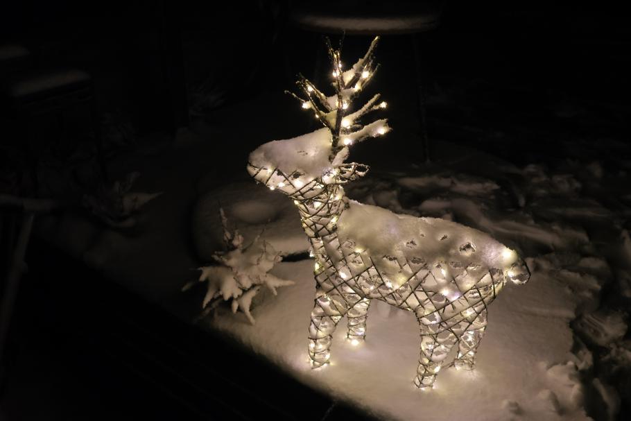 Auch unser Terrassen-Maskottchen hat es heute ordentlich eingeschneit