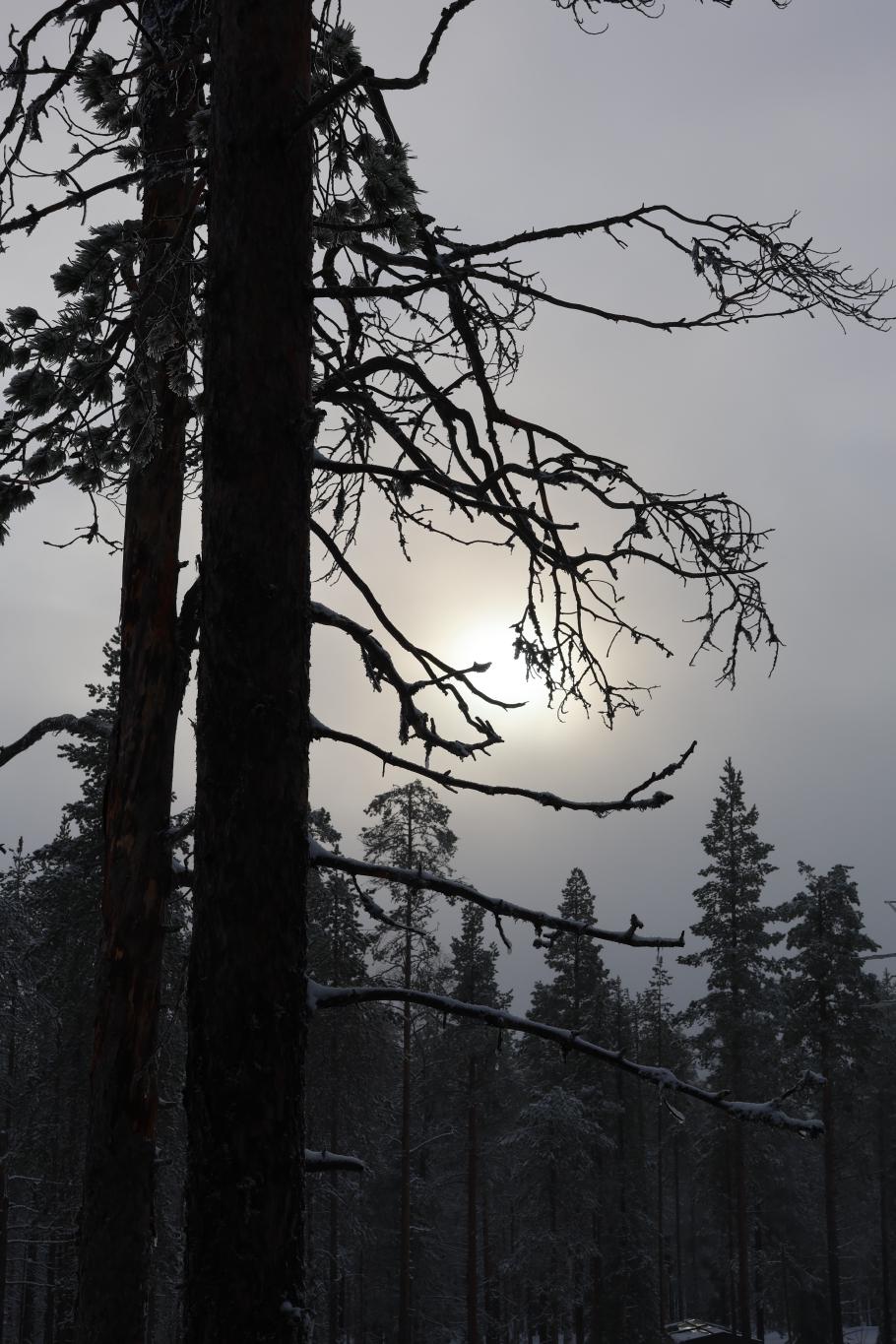 Während wir einladen, lässt sich die Sonne ein wenig blicken
