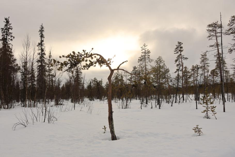 Kein klarer Himmel, aber eindeutig sonnig