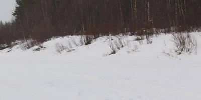 image from Flusswanderung