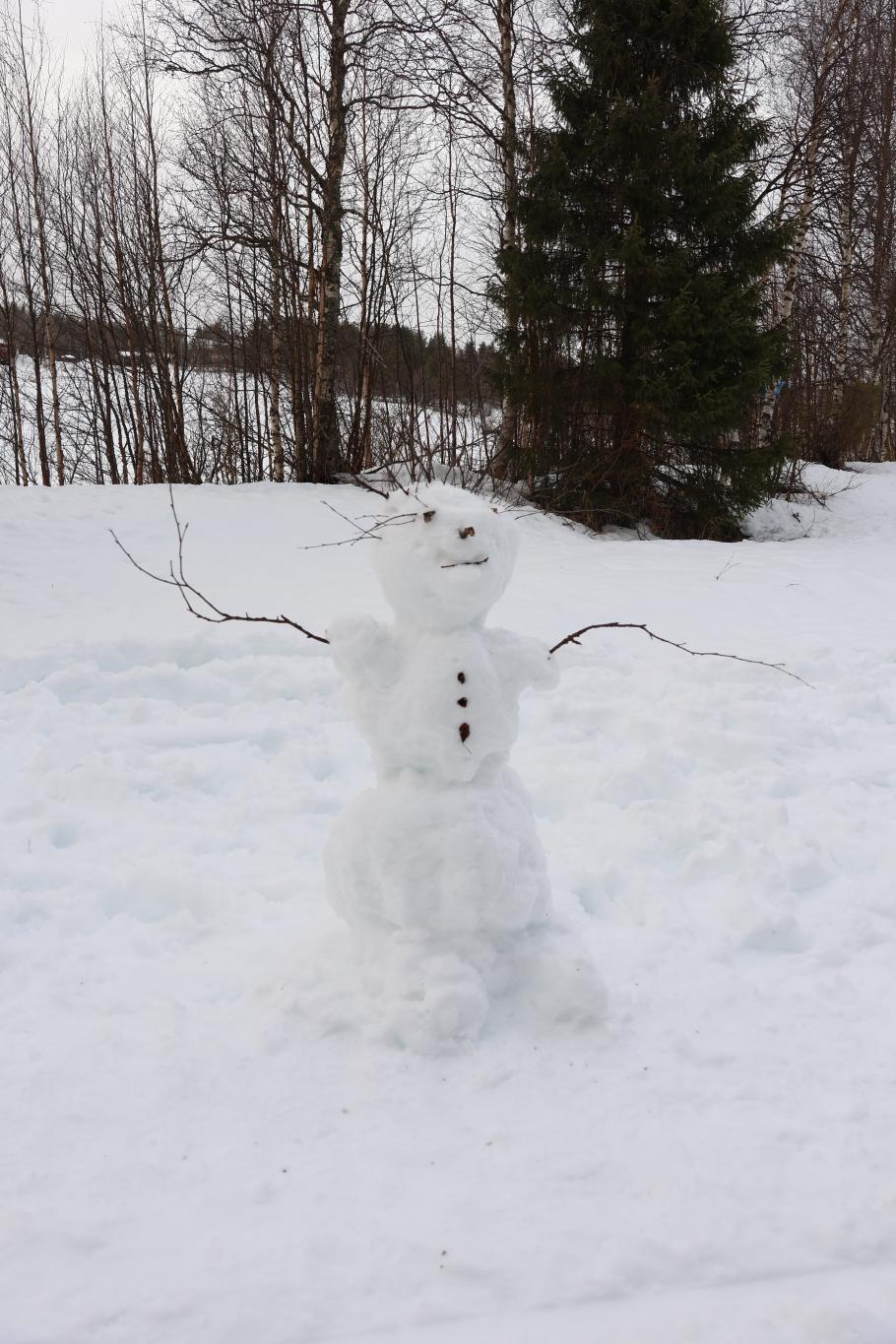 Der sieht etwas struppig aus